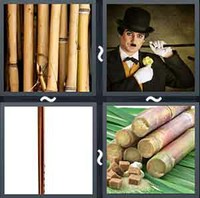 4 Pics 1 Word Cane