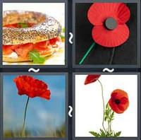 4 Pics 1 Word Levels Poppy