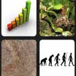What's that Word Growth