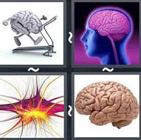 4 Pics 1 Word Levels Brain