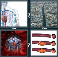 4 Pics 1 Word Levels Artery