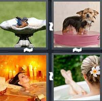 4 Pics 1 Word Levels Bath