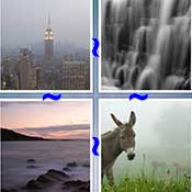 Whats the Word Mist