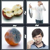 4 Pics 1 Word Levels Rotten