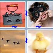 Whats the Word Goose