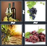 4 Pics 1 Word Grape