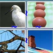 Whats the Word Nest