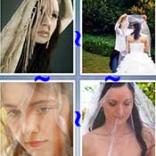 Whats the Word Veil