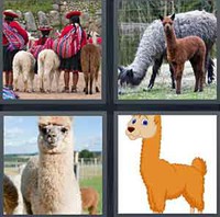 4 Pics 1 Word Levels Llama