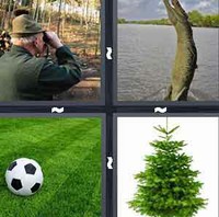 4 Pics 1 Word Levels Green