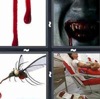 4 Pics 1 Word Levels Blood
