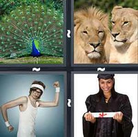 4 Pics 1 Word Levels Pride