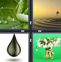 4 Pics 1 Word Levels Drop