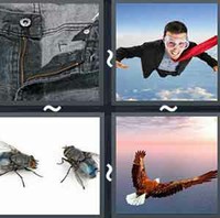 4 Pics 1 Word Levels Fly