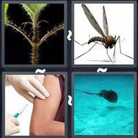 4 Pics 1 Word Levels Sting