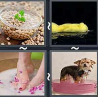 4 Pics 1 Word Soak