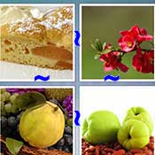 Whats the Word Quince