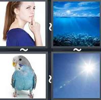 4 Pics 1 Word Levels Blue
