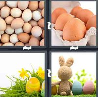 4 Pics 1 Word Eggs