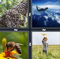 4 Pics 1 Word Levels Drone