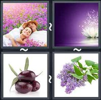4 Pics 1 Word Levels Purple