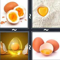 4 Pics 1 Word Levels Yolk