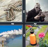 4 Pics 1 Word Levels Toxic