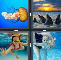 4 Pics 1 Word Levels Swim