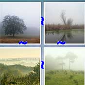 Whats the Word Fog