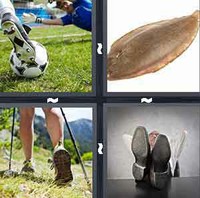 4 Pics 1 Word Levels Sole