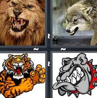 4 Pics 1 Word Levels Growl