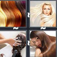 4 Pics 1 Word Levels Hair