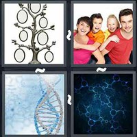 4 Pics 1 Word Genetics