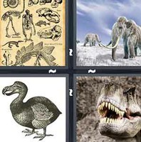 4 Pics 1 Word Levels Exctinct