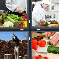 4 Pics 1 Word Chopping