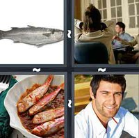 4 Pics 1 Word Levels Mullet