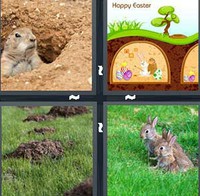 4 Pics 1 Word Levels Burrow