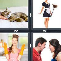 4 Pics 1 Word Levels Domestic