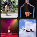 What's that Word Acrobat