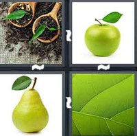 4 Pics 1 Word Leaf