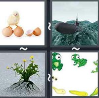 4 Pics 1 Word Levels Emerge