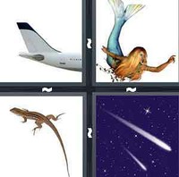 4 Pics 1 Word Levels Tail