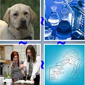 Whats the Word Lab