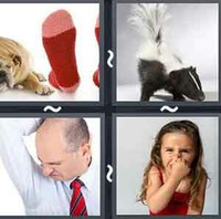 4 Pics 1 Word Levels Stink