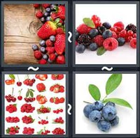 4 Pics 1 Word Berries