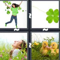 4 Pics 1 Word Levels Clover