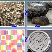 Whats the Word Shower