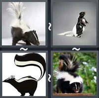 4 Pics 1 Word Levels Skunk