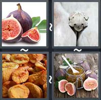 4 Pics 1 Word Levels Fig