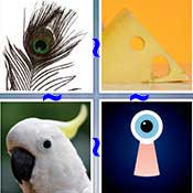 Whats the Word Eye